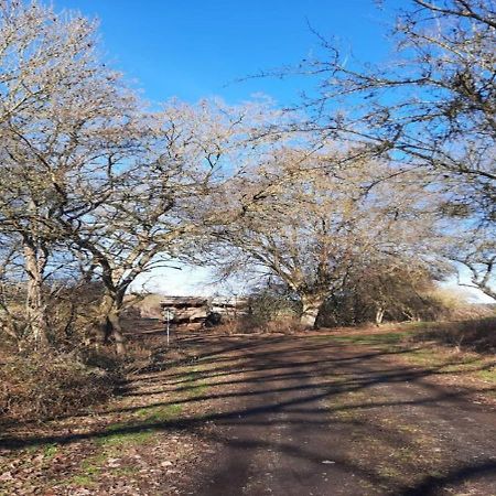 Exklusive Naturoase Direkt Am Ars Natura Wanderweg Mit Panoramablick Auf Melsungen Esterno foto