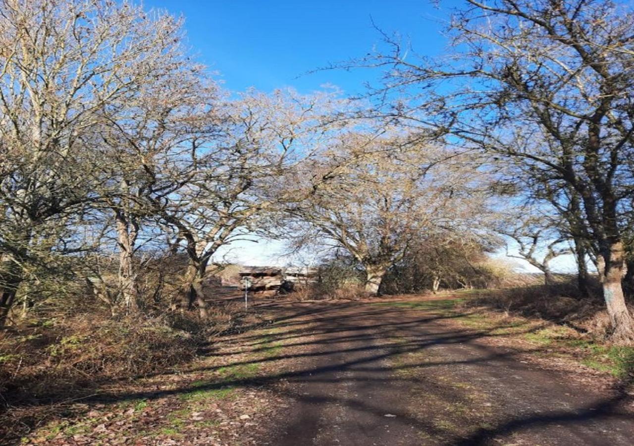 Exklusive Naturoase Direkt Am Ars Natura Wanderweg Mit Panoramablick Auf Melsungen Esterno foto